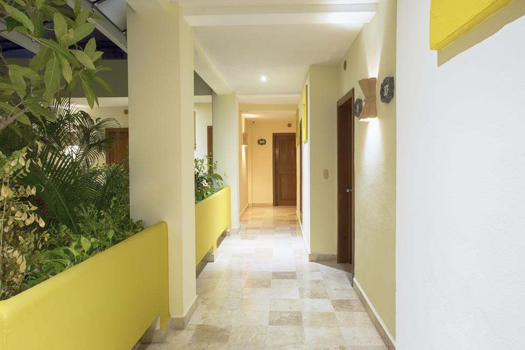 Hotel Los Itzaes By 5Th Av Πλάγια Ντελ Κάρμεν Εξωτερικό φωτογραφία
